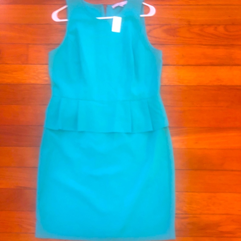 Ann Taylor dress NWOT - Picture 7 of 13